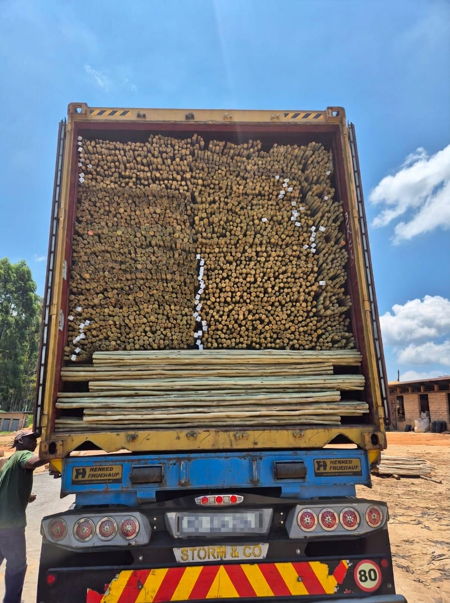 A container loaded with Timba Exports treated timber products