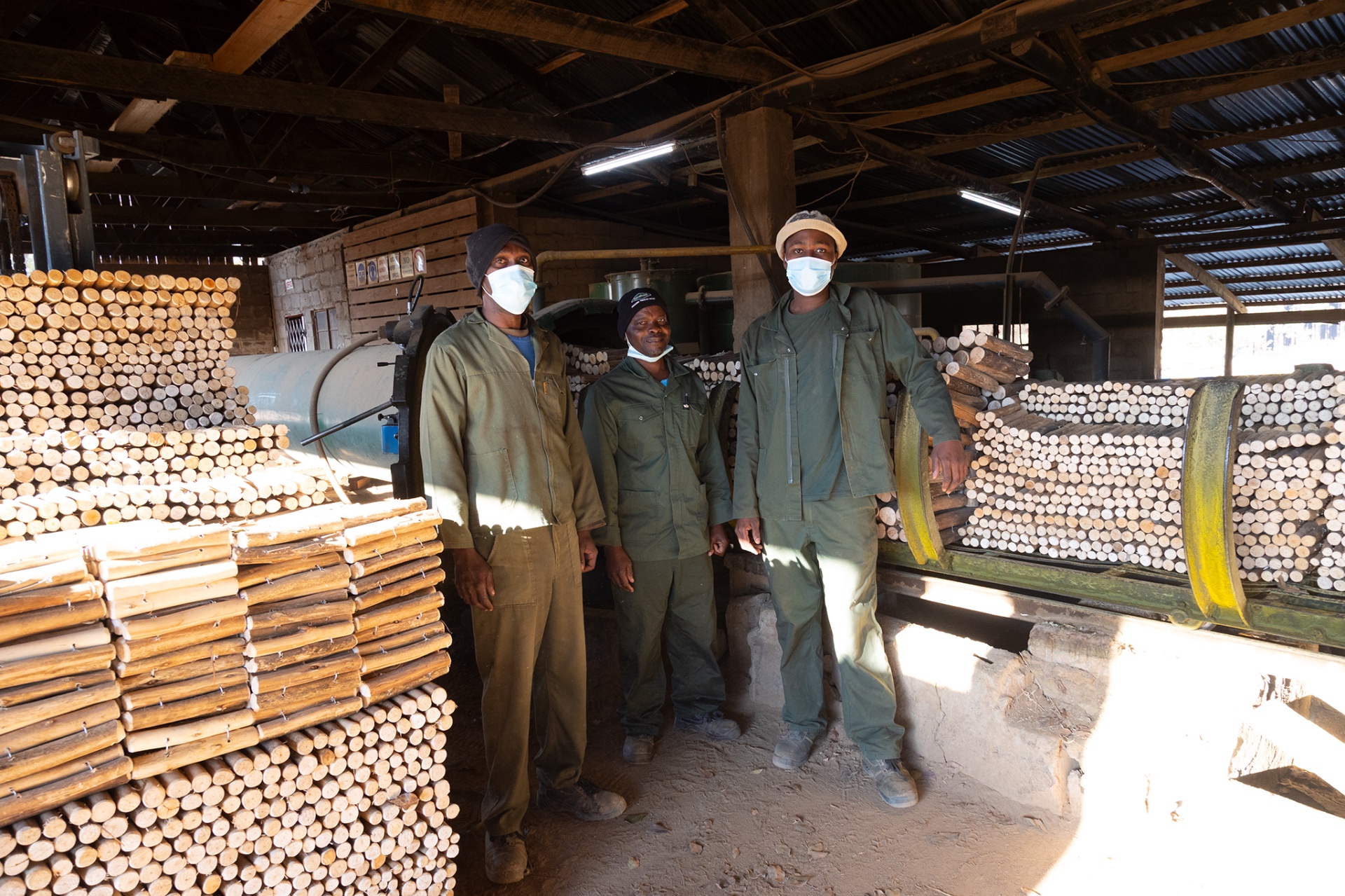 Workshop team processing treated timber poles