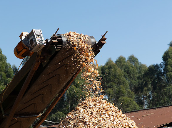Conveyor line inside Timba Sawmill
