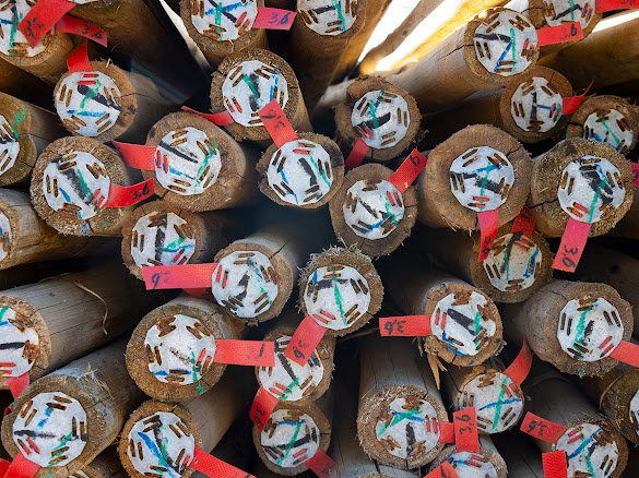 Marked ends of graded export timber poles at Timba