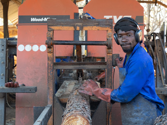 Sawmill operator at work on the Wood-Mizer line