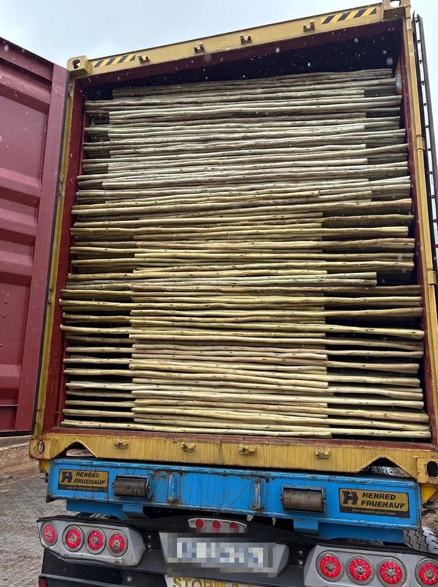 Lath panels packed into a container for export at Timba
