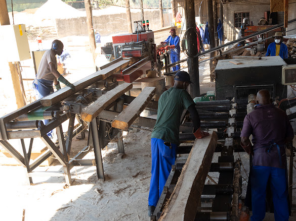 Sawn timber production at the Timba Sawmill in White River