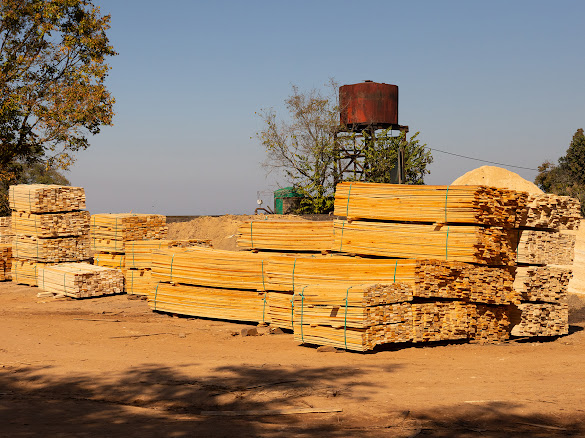 Graded pine timber stacks ready for dispatch at Timba Sawmill