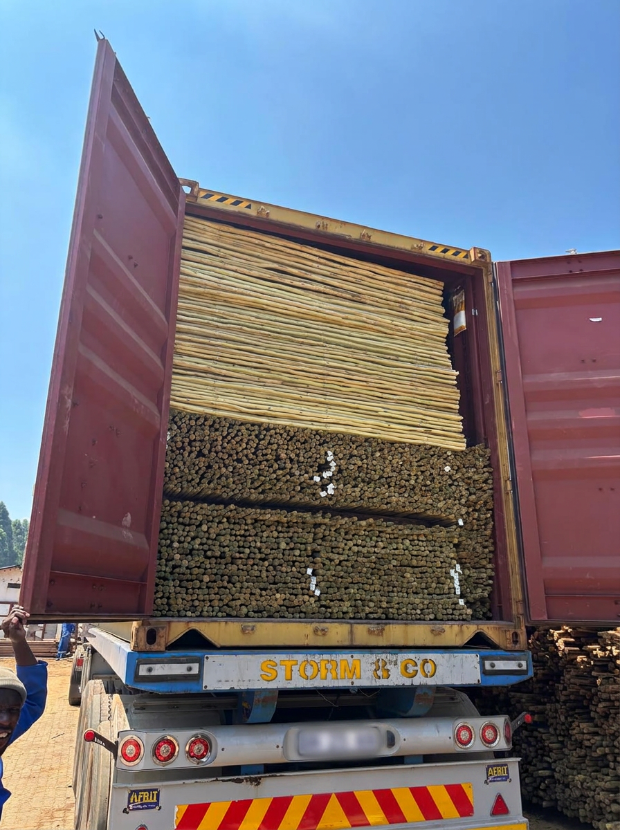 Open shipping container during final export loading check at Timba